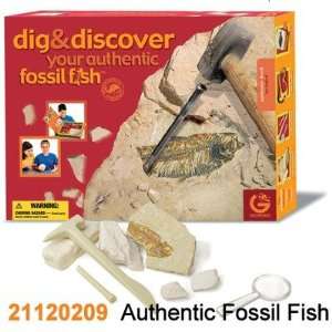  Geoworld Dig and Discover Authentic Fossil Fish Toys 
