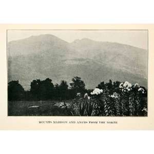 1925 Print Mount Adams Madison White Mountains New Hampshire Landscape 