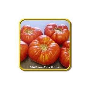  Brandywine Red   Heirloom Tomato Seeds   Jumbo Seed 