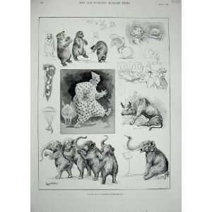   1894 Covent Garden Theatre NoahS Ark Elephants Wain