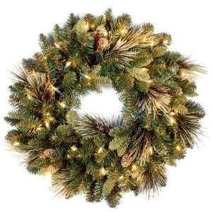  Carolina Pine Wreath with Flocked Cones and Lights   24 
