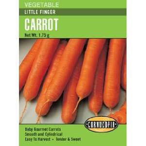  Carrot Little Finger Seeds Patio, Lawn & Garden