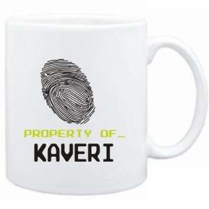  Mug White  Property of _ Kaveri   Fingerprint  Female 