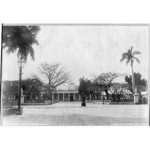   ,Cienfuegos,Cuba,c1900,Palm Trees,Sidewalk,Lamp posts