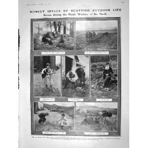  1909 SCOTLAND FARM BANNOCKBURN SMITHY SHEEP DOG TINK