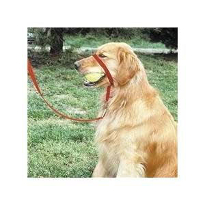  Gentle Leader Quick Release System, Extra Large, Red Pet 