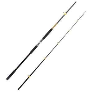   Shakespeare Ugly Stik 10 Saltwater Bigwater Rod: Sports & Outdoors