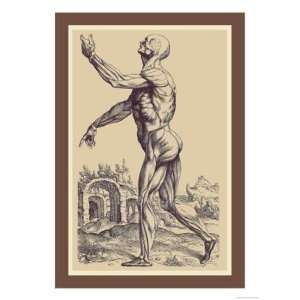 Second Plate of the Muscles by Andreas Vesalius 12x18:  