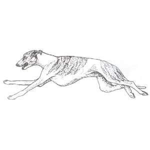  Dog Rubber Stamp   Whippet   3E: Office Products