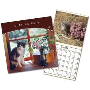  Curious Cats 16month 2012 Calendar