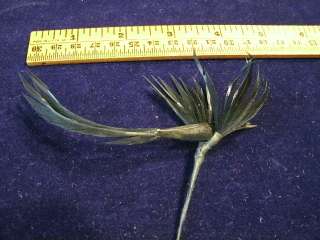 intage Millinery Flower Doll Sze Feather Bird KR Black  