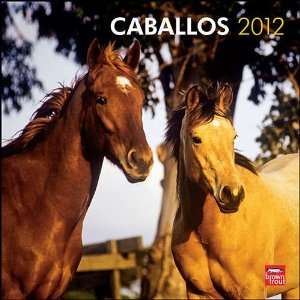  Horses (Spanish) 2012 Wall Calendar: Office Products