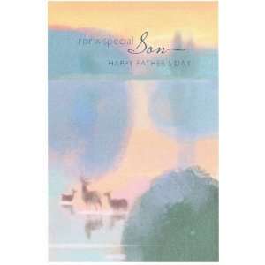  For a Special Son (Dayspring 2786 5) Fathers Day Card 