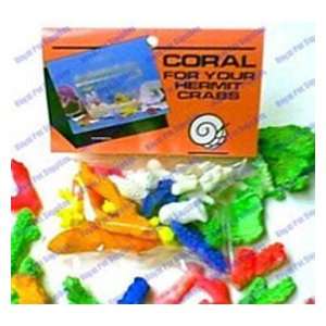  FMR Packaged Coral Pieces Hermit Crab