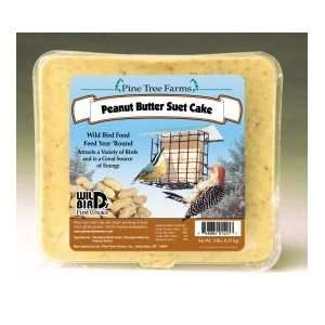  Suet Cake, 3 Lbs Peanut Butter: Pet Supplies
