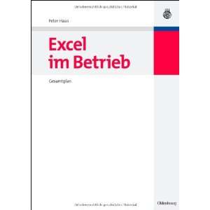  Excel im Betrieb (9783486584295) Peter Haas Books