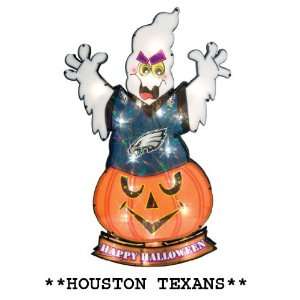  20 Lighted NFL Houston Texans Happy Halloween Yard 