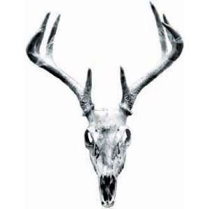  Deer Skull Graphic in Gray   6 h   REFLECITVE: Everything 