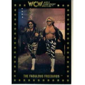   Wrestling Card #5  The Fabulous Freebirds