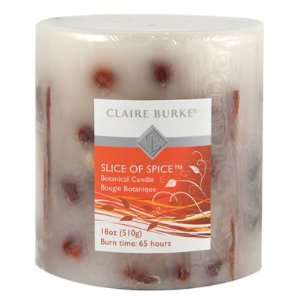  Claire Burke Slice of Spice Botanical Candle