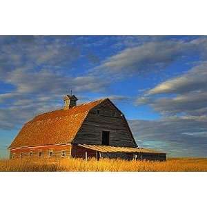   Dilapidated Barn   Peel and Stick Wall Decal by Wallmonkeys Home