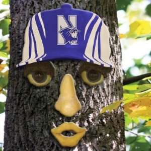  Northwestern Wildcats Forest Face NFL Football Fan Shop 