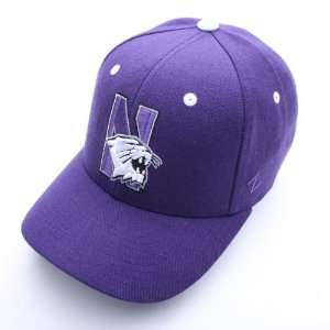  Northwestern Wildcats Team Logo Mascot Fitted Hat (Purple 