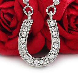CLEAR HORSE SHOE CRYSTAL PENDANT NECKLACE JEWELRY N160  