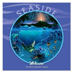  750 Piece Seaside Round Puzzle: Toys & Games