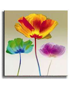 Poppy Chromatic by Robert Mertens Stretched Canvas Art  Overstock