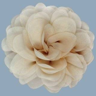   : Tan Linen Rose Fabric Flower Hair Clip & Pin Brooch: F10012: Beauty