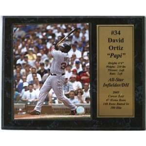 David Ortiz of the Boston Red Sox Photograph with Statistics Nested on 