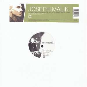  Take It All In and Check It All Out [Vinyl] Joseph Malik 