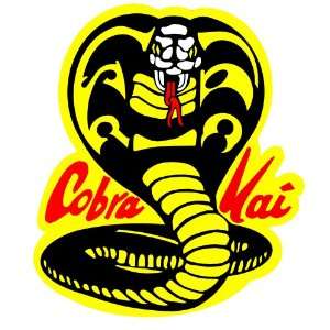  Cobra Kai back patch from Karate Kid movie Everything 