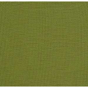  1744 Pearson in Parrot by Pindler Fabric: Home & Kitchen