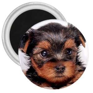  Yorkshire Terrier Puppy Dog 8 3in Magnet S0655 Everything 