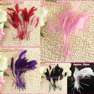 Rooster Coque Millinery Hat Craft Feathers ~5 colors av  