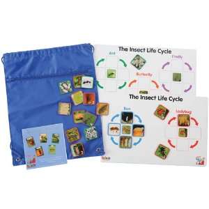  Insect Life Cycle Game Toys & Games