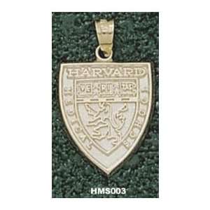 Harvard Medical School Shield Charm/Pendant:  Sports 