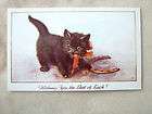 Good Luck Greeting Card with Kitten REPRODU​CTION 1900s