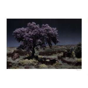  Wisteria Tree Poster by Evelyn Hammond (24.00 x 18.00 