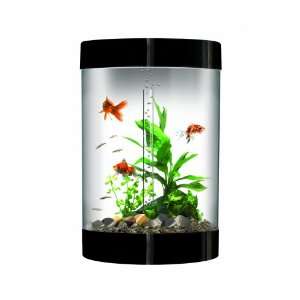  biUbe Aquarium with Halogen Light, Black, 9 Gallons: Pet 