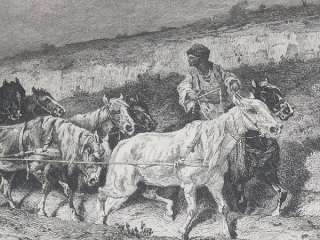 Original 19th Century Engraving By Adolphe Shreyer COSSACKS HORSES 