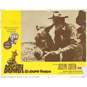  Brighty of the Grand Canyon   Movie Poster   11 x 17