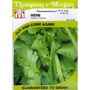  Thompson & Morgan 4784 Herb Cilantro Calypso Seed Packet 