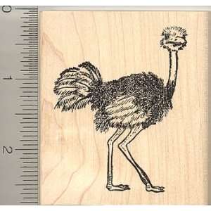  Ostrich Bird Rubber Stamp Arts, Crafts & Sewing
