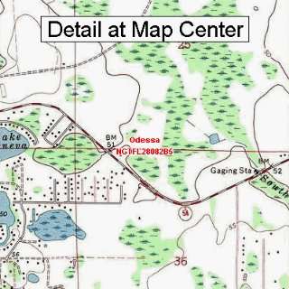  USGS Topographic Quadrangle Map   Odessa, Florida (Folded 