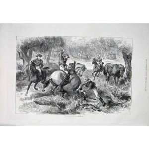  Kangaroo Hunting Australia Antique Print 1876