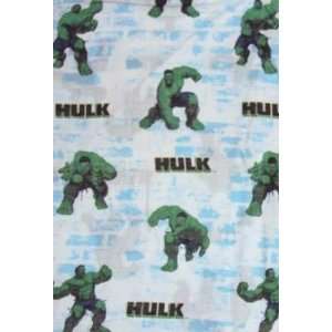  Incredible Hulk Twin Sheet Set Baby