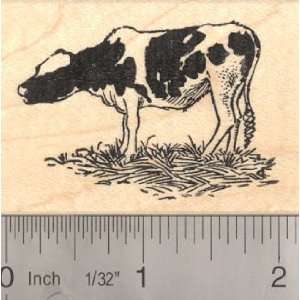  Holstein Calf Rubber Stamp, Holstein Friesian cattle Arts 